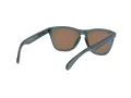 Oakley Frogskins Ochelari de Soare OO 9013 F6 55