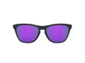Oakley Frogskins Ochelari de Soare OO 9013 H6 55