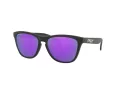 Oakley Frogskins Ochelari de Soare OO 9013 H6 55