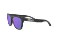 Oakley Frogskins Ochelari de Soare OO 9013 H6 55