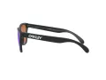 Oakley Frogskins Ochelari de Soare OO 9013 H6 55