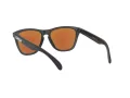 Oakley Frogskins Ochelari de Soare OO 9013 H6 55
