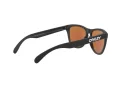 Oakley Frogskins Ochelari de Soare OO 9013 H6 55