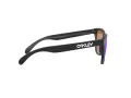 Oakley Frogskins Ochelari de Soare OO 9013 H6 55