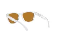 Oakley Frogskins Ochelari de Soare OO 9013 H7 55