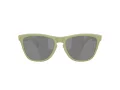 Oakley Frogskins Ochelari de Soare OO 9013 M2 55