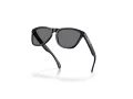 Oakley Frogskins Ochelari de Soare OO 9013 M7 55