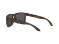 Oakley Holbrook Ochelari de Soare OO 9102 F4 57