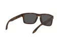 Oakley Holbrook Ochelari de Soare OO 9102 F4 57