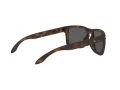 Oakley Holbrook Ochelari de Soare OO 9102 F4 57