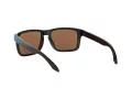 Oakley Holbrook Ochelari de Soare OO 9102 F5 57