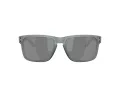 Oakley Holbrook Ochelari de Soare OO 9102 Z4 55