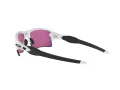 Oakley Flak 2.0 Xl Ochelari de Soare OO 9188 03
