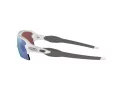 Oakley Flak 2.0 Xl Ochelari de Soare OO 9188 82