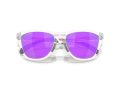 Oakley Frogskins Range Ochelari de Soare OO 9284 12