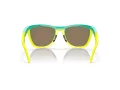 Oakley Frogskins Hybrid Ochelari de Soare OO 9289 02