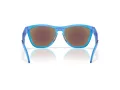 Oakley Frogskins Hybrid Ochelari de Soare OO 9289 09 55