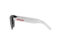 Oakley Frogskins Lite Ochelari de Soare OO 0OO9374 937453 63