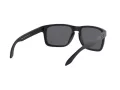 Oakley Holbrook Xl Ochelari de Soare OO 9417 05 59