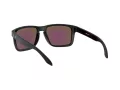 Oakley Holbrook Xl Ochelari de Soare OO 9417 21 59