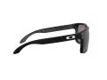 Oakley Holbrook Xl Ochelari de Soare OO 9417 22 59