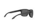 Oakley Holbrook Xl Ochelari de Soare OO 9417 30 59