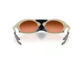Oakley Plantaris Ochelari de Soare OO 9437 02 63