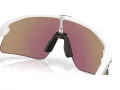 Oakley Stunt Devil Ochelari de Soare OO 9517 04 139