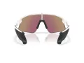 Oakley Stunt Devil Ochelari de Soare OO 9517 04 139