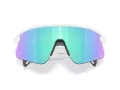 Oakley Stunt Devil Ochelari de Soare OO 9517 04 139