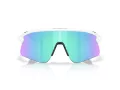 Oakley Stunt Devil Ochelari de Soare OO 9517 04 139