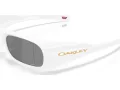 Oakley Permian Ochelari de Soare OO 9520 02 59
