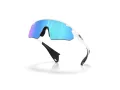 Oakley Stunt Devil A Ochelari de Soare OO 9525 02 137