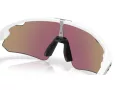 Oakley Stunt Devil A Ochelari de Soare OO 9525 02 137