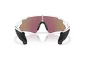 Oakley Stunt Devil A Ochelari de Soare OO 9525 02 137