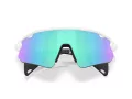 Oakley Stunt Devil A Ochelari de Soare OO 9525 02 137