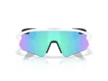 Oakley Stunt Devil A Ochelari de Soare OO 9525 02 137