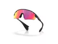 Oakley Stunt Devil A Ochelari de Soare OO 9525 03 137