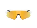 Oakley Stunt Devil A Ochelari de Soare OO 9525 08 137