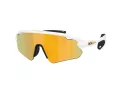 Oakley Stunt Devil A Ochelari de Soare OO 9525 08 137