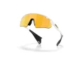 Oakley Stunt Devil A Ochelari de Soare OO 9525 08 137