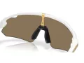 Oakley Stunt Devil A Ochelari de Soare OO 9525 08 137