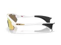Oakley Stunt Devil A Ochelari de Soare OO 9525 08 137