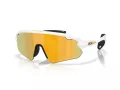 Oakley Stunt Devil A Ochelari de Soare OO 9525 08 137