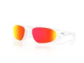 Oakley Neoforma Ochelari de Soare OO 9528 03 60