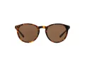 Polo Ochelari de Soare PH 4110 513473 50