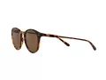 Polo Ochelari de Soare PH 4110 513473 50