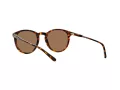 Polo Ochelari de Soare PH 4110 513473 50