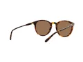 Polo Ochelari de Soare PH 4110 513473 50