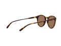 Polo Ochelari de Soare PH 4110 513473 50